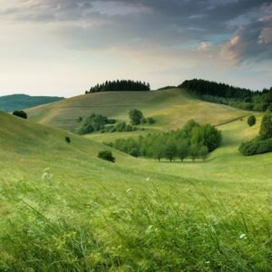 green hills with forest under cloudy sky during daytime